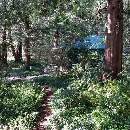 Metchosin Sacred Pilgrimage Studio旅馆 外观 照片